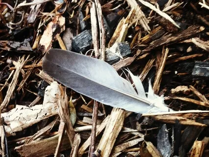 Throat Chakra Meditation