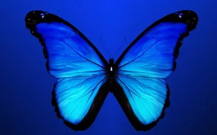 Throat Chakra Meditation: Communication & Self-Expression