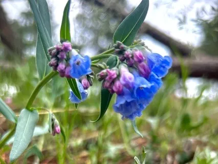 Throat Chakra Meditation: Finding Your Voice