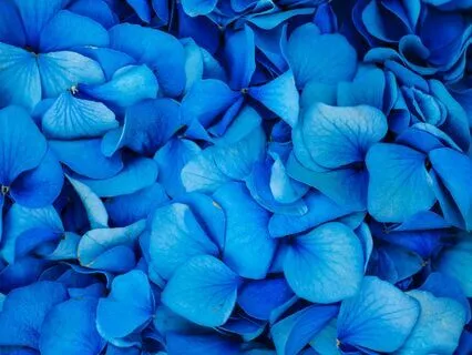 Throat Chakra Meditation For Business Success