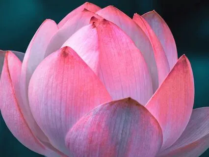 Throat Chakra Meditation - Tools For Authenticity