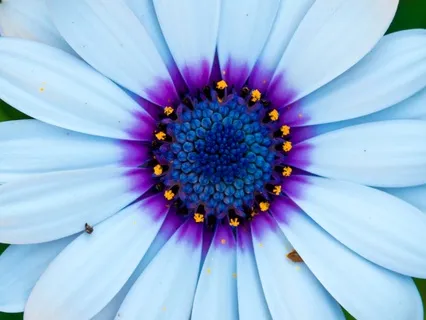 Throat Chakra Meditation: Your Voice Creates Change