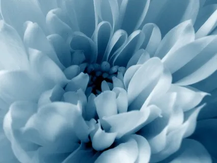 Throat Chakra Meditation