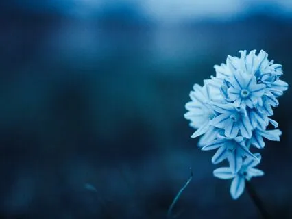 Throat Chakra Meditation