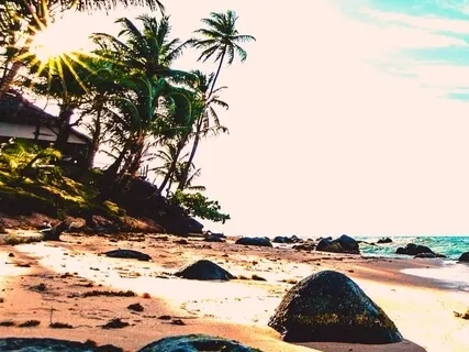 Throat Chakra Note - Speak It Now