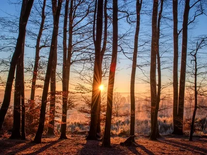 Relaxing Throat Chakra Music