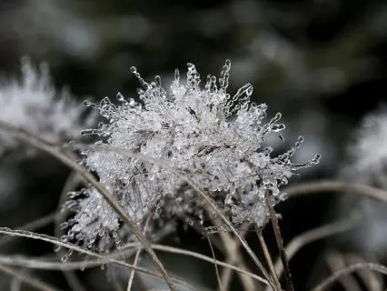 Throat Chakra Reset: Finding Your Voice