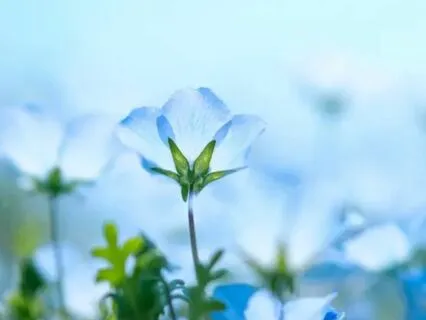 Throat Chakra Sounding: Expression, Communication