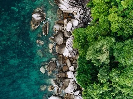 Throat Chakra Therapy