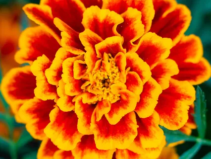 Throat Chakra Tibetan Singing Bowls With Ocean Sounds