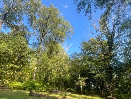 The Spiritual Power Of Throat Singing