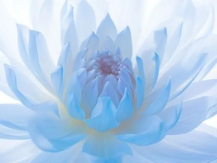 Throat Singing - Channeled Prayer For Deep Healing