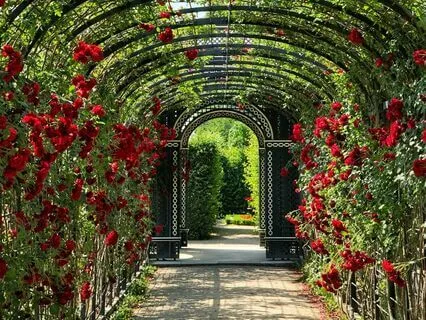 Through My Daughter's Lens