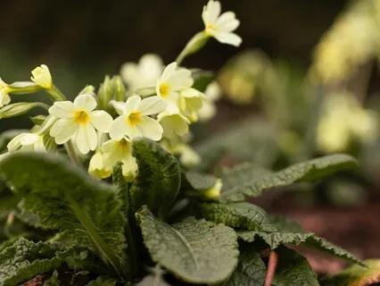 Through New Eyes - February 19