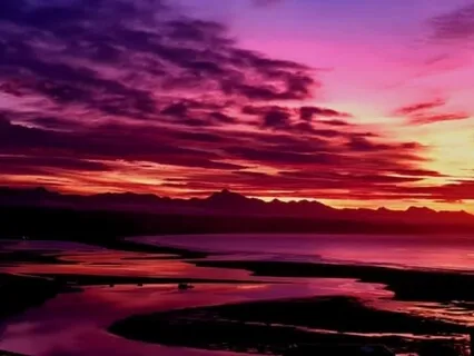 Through Our Senses Awaken Our Higher Frequencies