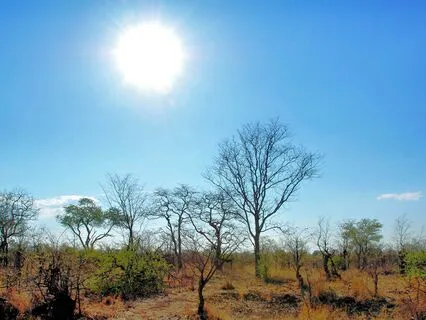 Through Shared Shadows, Spirit Speaks