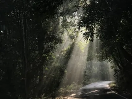 Through The Darkness & Into The Light