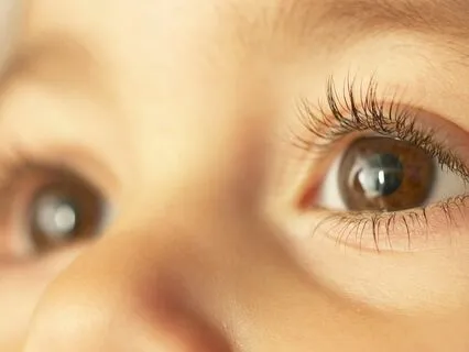 Through The Eyes Of A Child