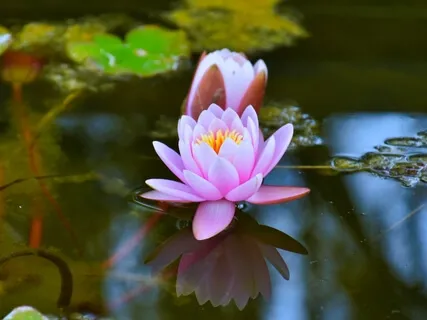 Through The Eyes Of Spirit 