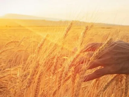 Through The Gate To Deep Peace – A Nature Meditation