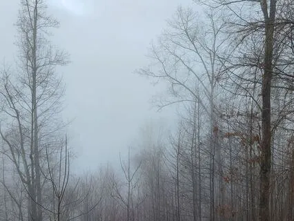 Through The Veil | When Stillness Becomes Transformation