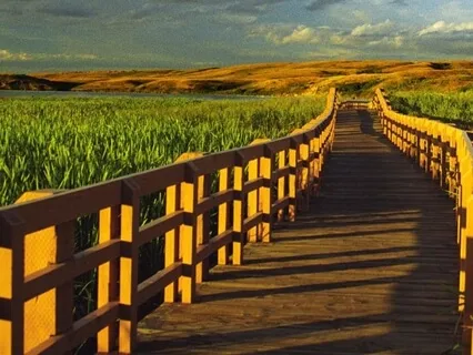 Throwing Ourselves Out Of The Nest!