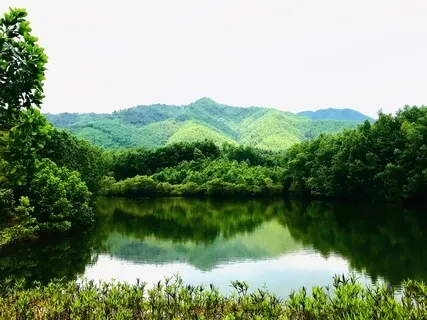 [Thư Giãn Ngay Lập Tức] Thiền Chữa Lành Hoʻoponopono