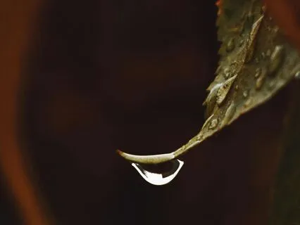 Thunder And Rainfall In The Suburbs