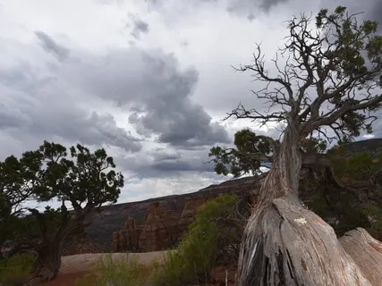 Thunder And Rainstick Grounding Music
