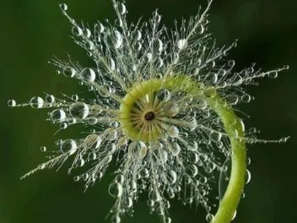 Thunderstorm Dream Healing