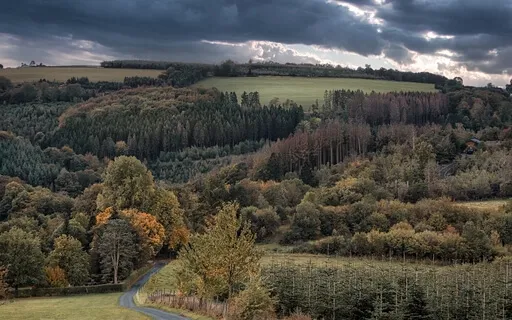Thunderstorm In A Smaller City