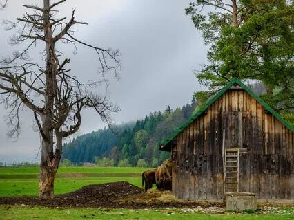 Thunderstorm Sounds Near The Old Country Barn