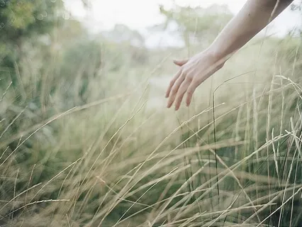 Thus Spoke The Sages: Ayurveda On Environment & Dharma