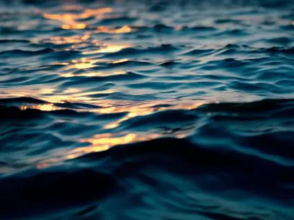 Thy Kingdom Come: A Morning Prayer To Bless Your Life