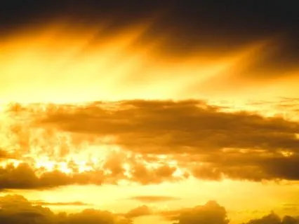 Thy Light Is In All Forms- Journey To Bless All In Your Life