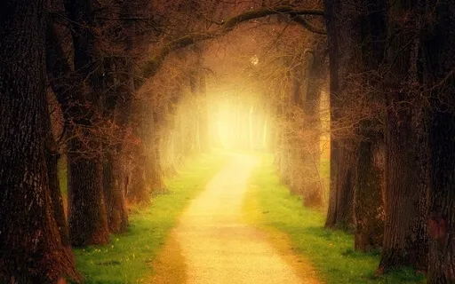 体外離脱のための誘導瞑想：体外離脱・幽体離脱の体質作りのためのガイド瞑想