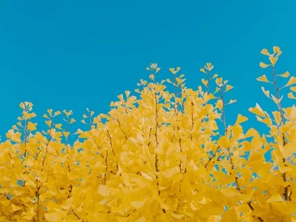 跳出拖延｜快速重启自己的9分钟默想练习 Procrastination 9 Minute Quick Reset 