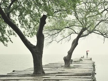 Tibetan & Crystal Singing Bowls & Music