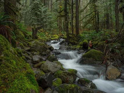 Tibetan Bowls + Gentle Water Flow
