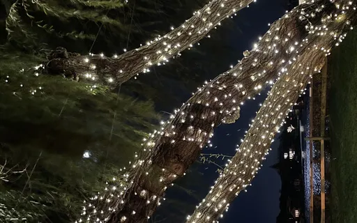 Tibetan Bowls Sound Healing Gratitude