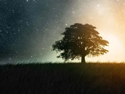 Tibetan Cosmos (Music For Sleep)