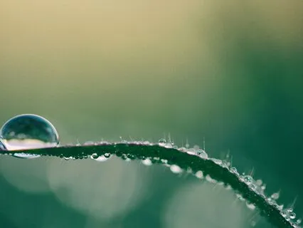 Tibetan Grounding Practice To Shift Your Energy