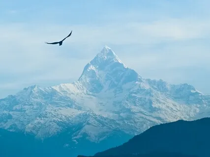 Tibetan Singing Bowl For Meditation, Relaxing, Healing & Calming Your Mind & Soul: Cosmic Meditation With Natural Sounds
