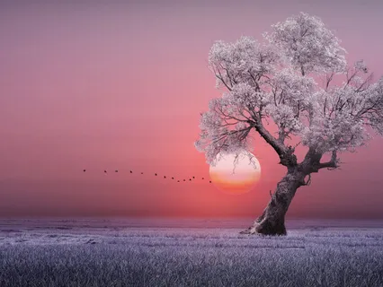 Tibetan Singing Bowls - 10 Minute Chakra Cleanse 