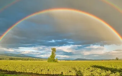 Tibetan Singing Bowls For Relaxation & Stress Relief
