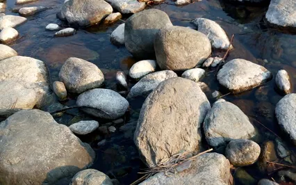 Tibetan Singing Bowls On The Riverside  (8D Audio)