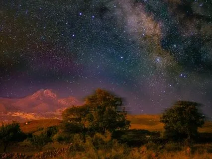 Tibetan Singing Bowls: Shimmer