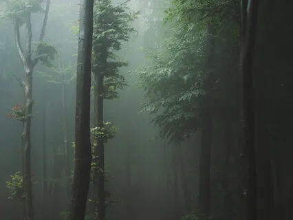 Tibetan Teachings On Death And Rebirth - And How They Relate To Life's Transitions