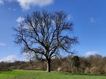 Tidality (25 Minutes)