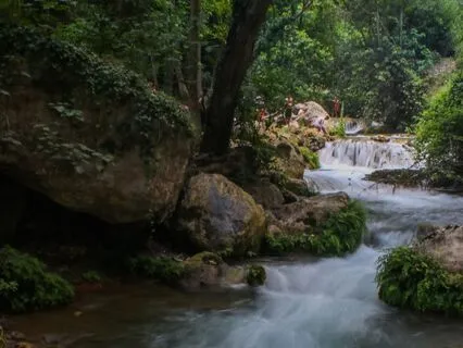 Tides Of Tranquility